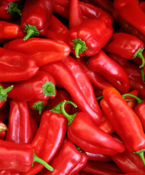 Crvena ajvar paprika